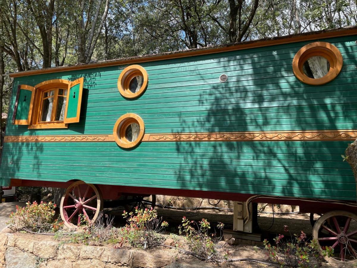 Camping Les Oliviers Порто Екстериор снимка